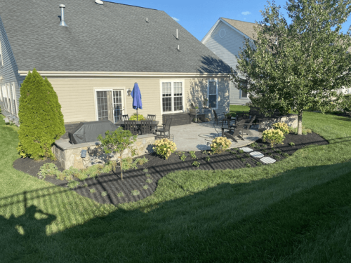 backyard-planting