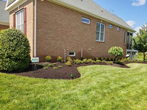 gallery-bright-green-home-lawn