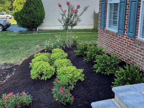 gallery-landscape-bed-with-plantings-and-dark-mulch