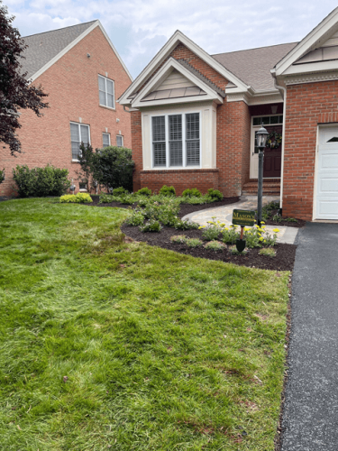planting-and-walkway-1