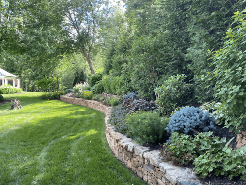 wall-planting-1